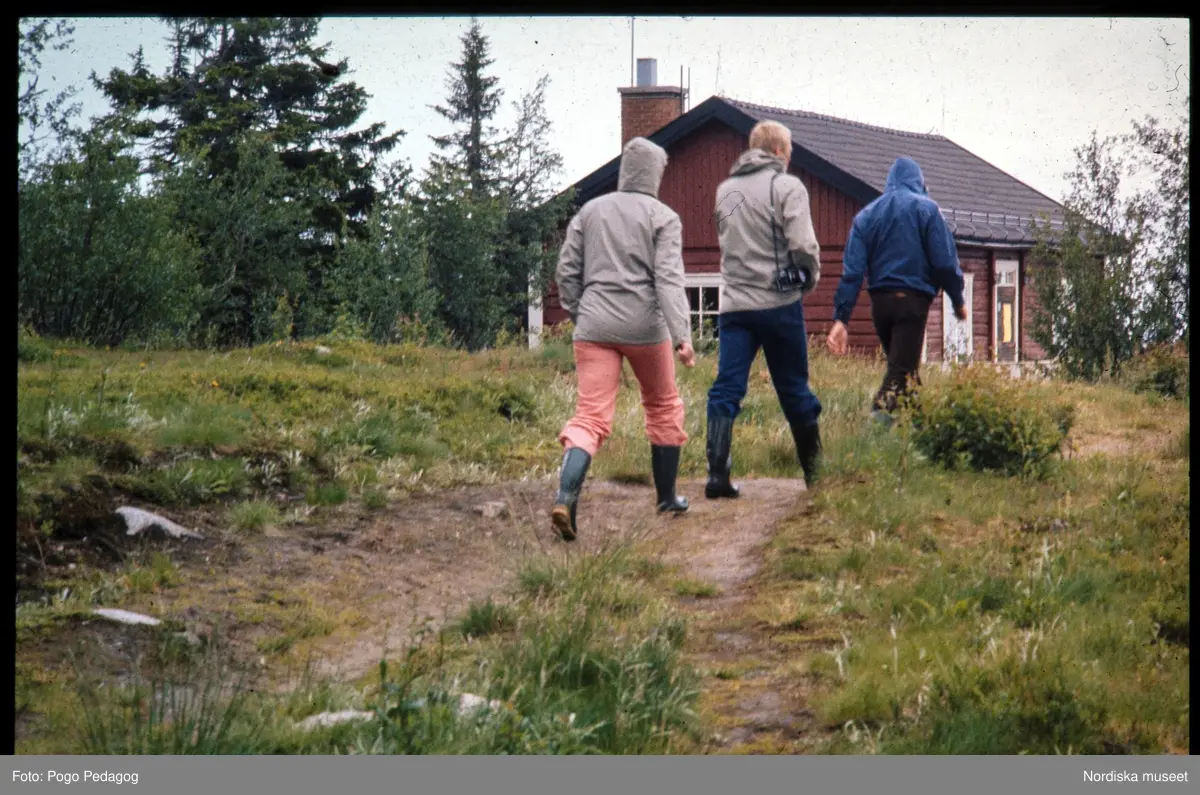 Friluftsliv, vandring och camping