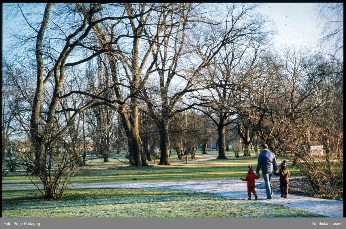 Friluftsliv, vandring och camping