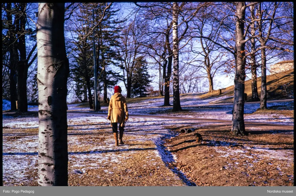 Friluftsliv, vandring och camping