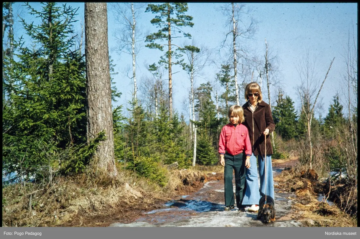 Friluftsliv, vandring och camping