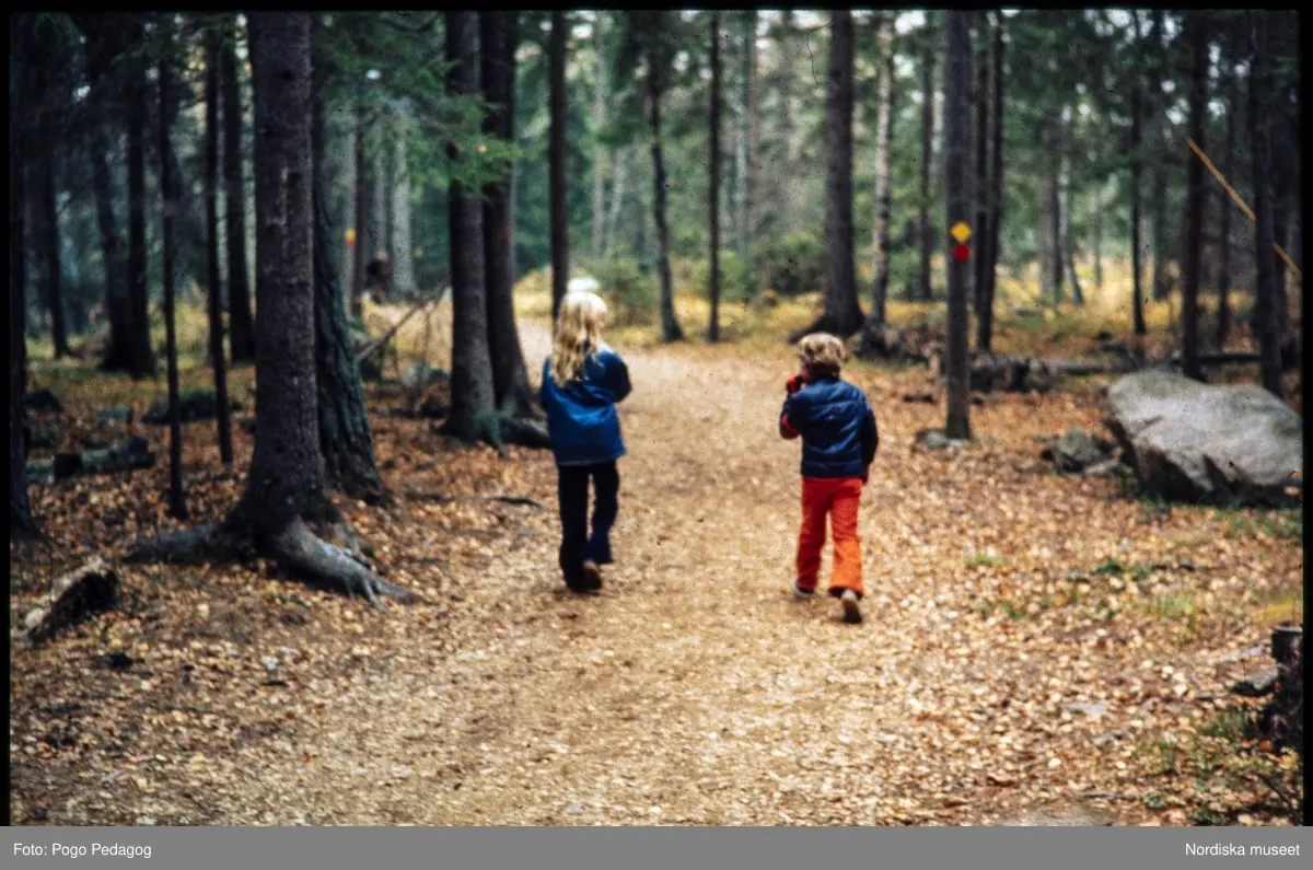 Friluftsliv, vandring och camping