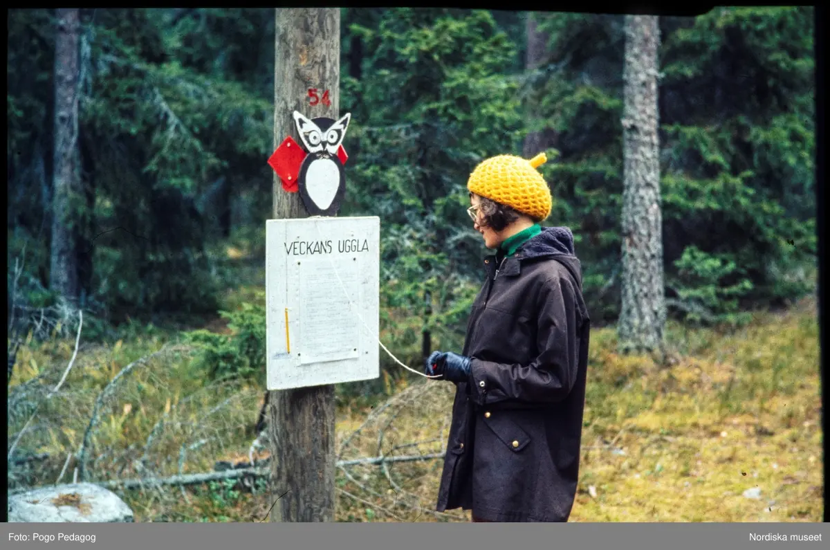 Friluftsliv, vandring och camping