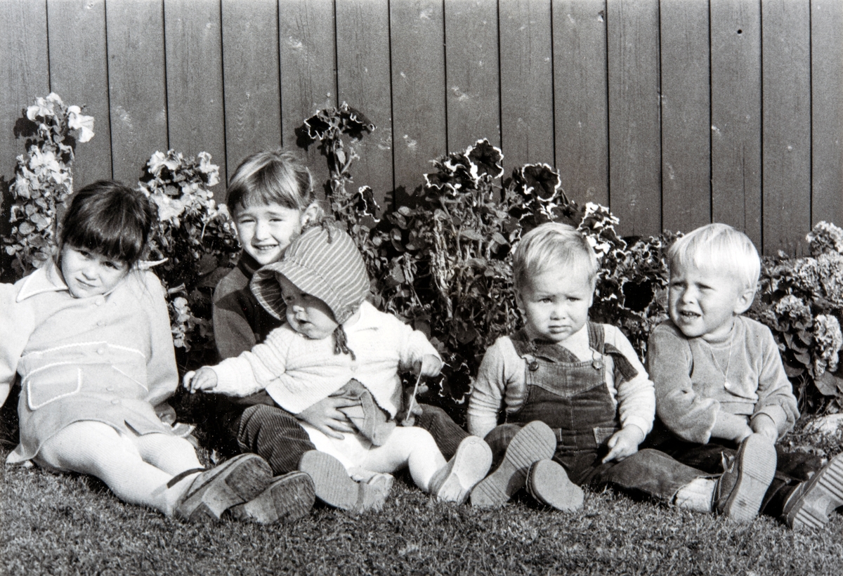 Gruppe 5 småbarn. Søskenbarntreff i solveggen. 
Fem søskenbarn som koser seg i solveggen tidlig på 80-tallet.  Bildet tatt 1981 viser fra v: Marthe Helseth (1977).  Eldstejenta Gunhild Helseth (1976) har tatt et trygt tak rundt søskenbarn Kari Sangro Olested (1980). Til høyre for Kari sitter Pål Helseth (1980)  Helt til høyre sitter  Terje Olestad (1978).