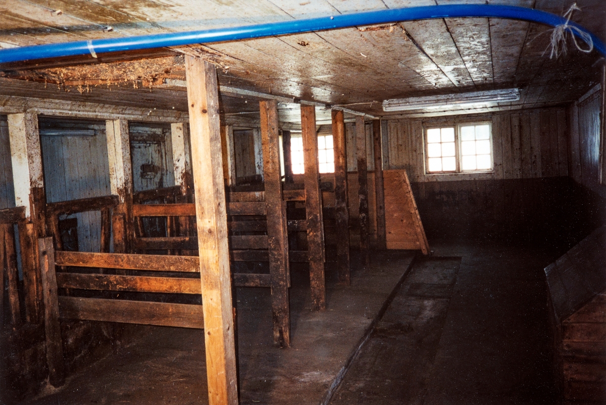 Interiør bilde fra fjøset på Småbruket Haga, 82/13, i Vang. Fra før ombyggingen til stall i 1999. 
Bilde viser fjøsinnredningen slik den var fra ca 1977, da den ble satt opp av Erling Holtet.
Fjøset ble bygd i 1932, av daværende eier, Kristian Enger. 
Den blå slangen i taket er vanntilførselen til grisehuset, lysrørene i taket ble satt opp i 1964.