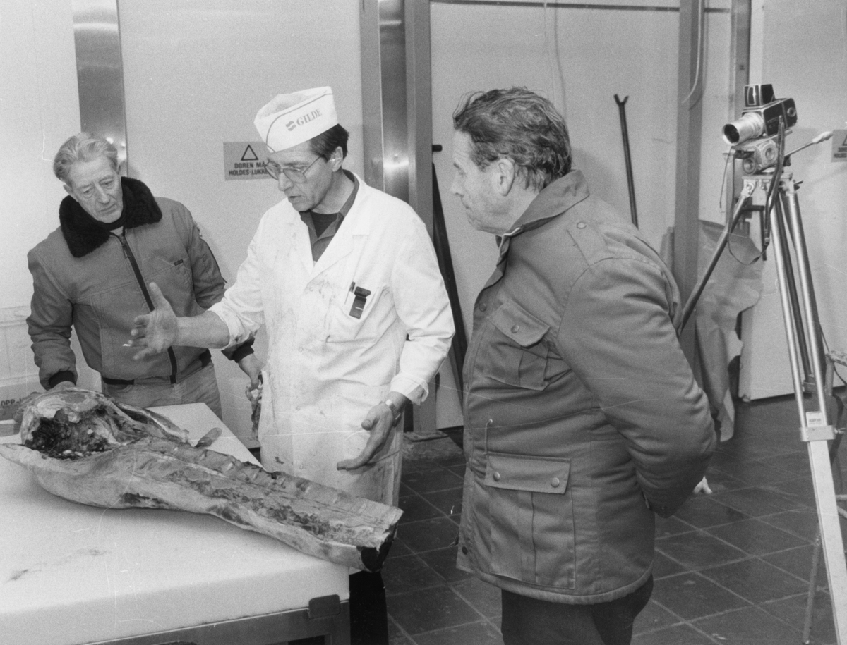 "Storverk om elg og elgjakt" Johannes Bredalslien bok