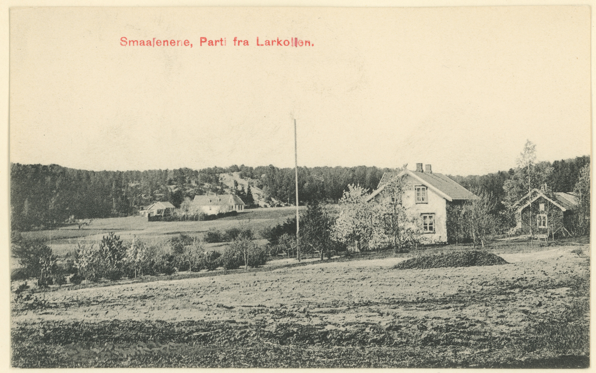 Larkollen, fire postkort, ca. 1910.

Bilde 1:
"Røeds Hotel, Larkollen".

Bilde 2:
"Smaalenene. Botner, Rygge."

Bilde 3:
"Smaalenene, Parti fra Larkollen."

Bilde 4:
"Parti ved Haagensens Landhandleri, Larkollen."