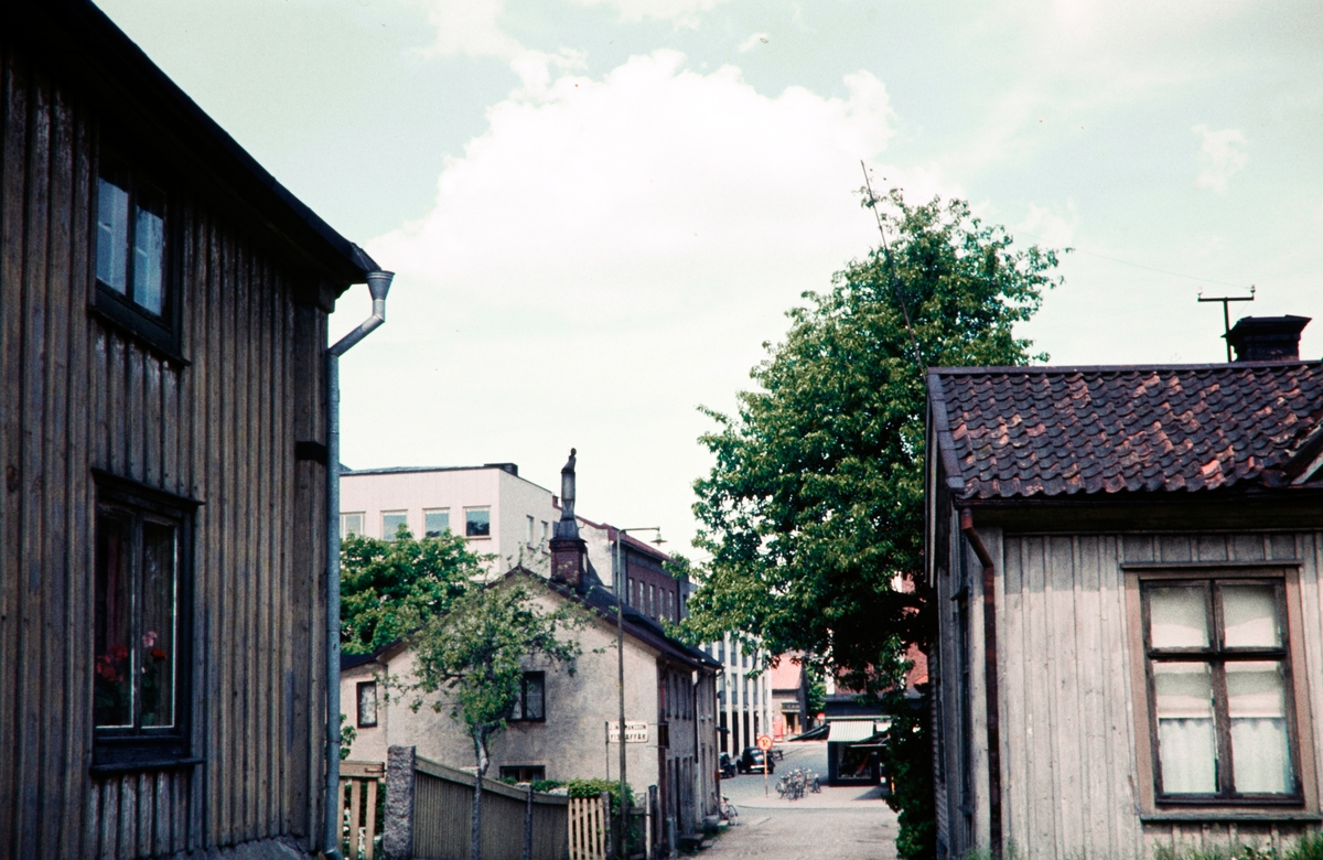 Bergentz, Thure (1892 - 1965)