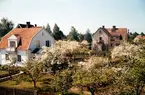 Kvarteret Sparven på Väster, Växjö 1956. Fotograferat från Breidablick.