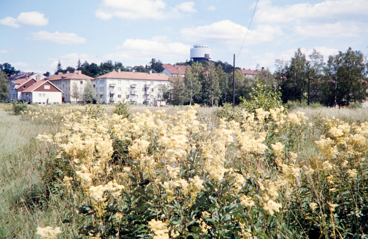 Spetsamossen, mot vattentornet. Växjö 1958.