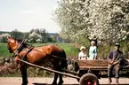 Gamla Torparvägen. På en träkärra, dragen av en häst, sitter bonden Johansson. Två damer stå vid vägkanten.