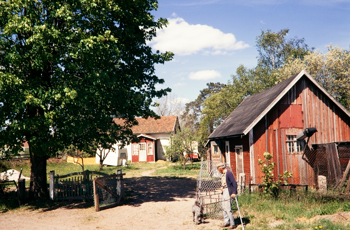 En rest av Lillestan. Björkelund, Gamla Norr i Växjö. Juni 1974.