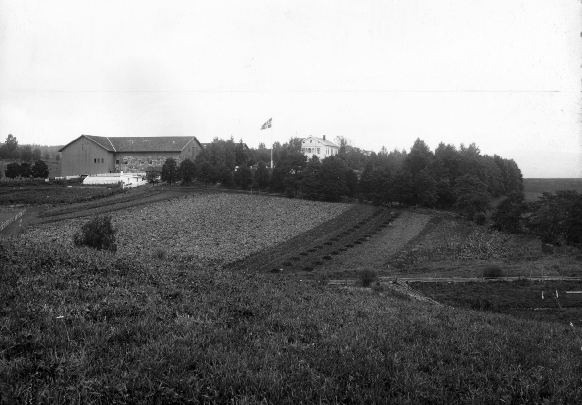 Hamar, Børstad Gård, låve og hovedbygning,