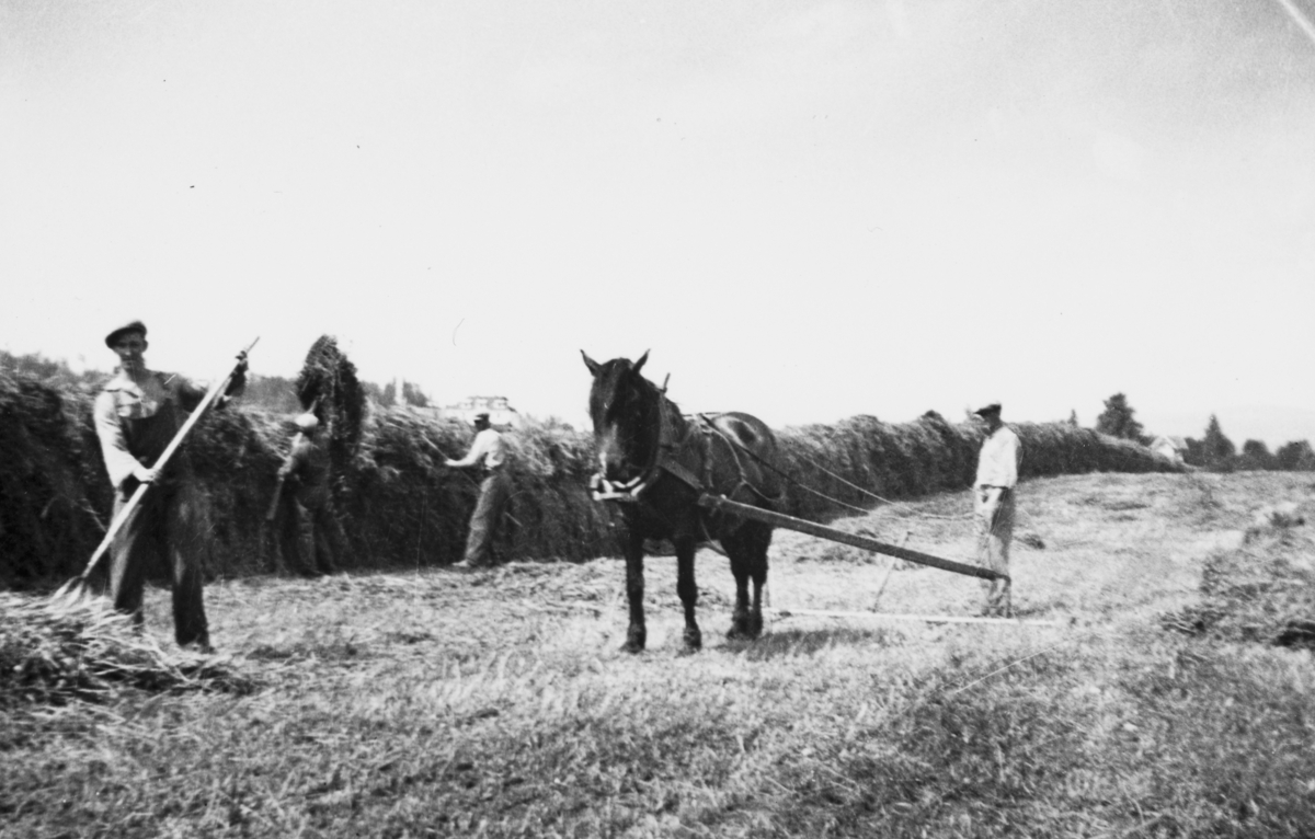  Bilde fra Børstadgård, Børstad Gård, 