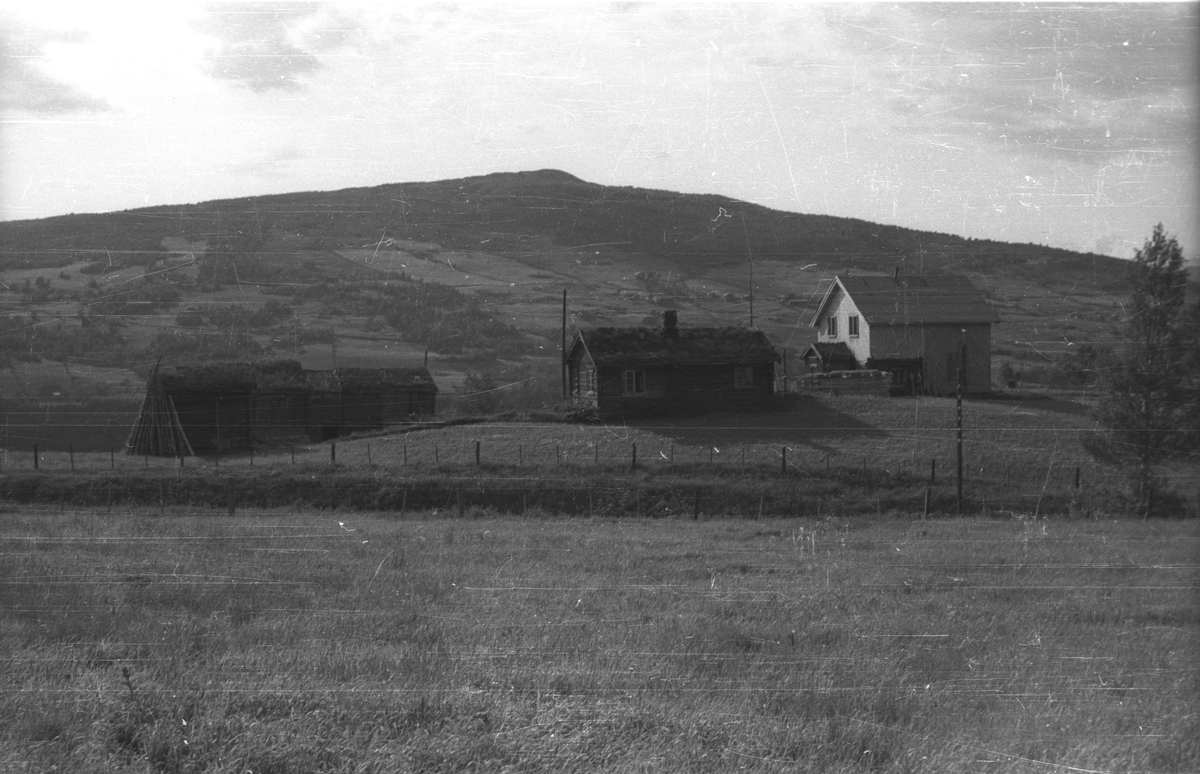 Mjøarønningen Gjelhaugen