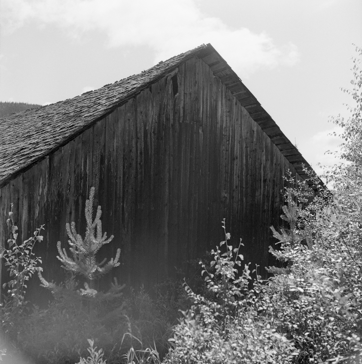 Fra Tverrena fellesfløtningsforenings spillflåtenaust ved Nordre Ulvsjøen i Enavassdraget i Trysil, fotografert i 1969, før bygningen ble flyttet fra sine opprinnelige tufter til Norsk Skogbruksmuseums friluftsmuseum på Prestøya i Elverum. Fotografiet er tatt mot den «bakre» gavlveggen, der det på dette tidspunktet hadde grodd fram en del småskog. Spillflåtenaustet er en 8,1 meter lang og 5,7 meter bred bindingsverkskonstruksjon. Mønehøyden er 405 centimeter, rafthøyden 190 centimeter. Bygningen kviler på ei rektangulær svillramme som kviler på laftesteiner. Begge langveggene har fem 160 centimeter høye bærende stolper (4” X 4”) inkludert hjørnestolpene. Midt på langveggene er konstruksjonen også avstivet med skråbånd fra svillene mot raftbjelkene. Raftbjelken på den bakre gavlveggen har to stendere i tillegg til de nevnte hjørnestolpene. Her finnes det dessuten en V-formet avstiving under den sentrale delen av raftet. Spillflåtenaustet er en luftig og åpen bygningskonstruksjon. Bare den «indre» eller «bakre» gavlveggen er helkledd med vertikalstilt kledning, over- og underliggerpanel. Langveggene har samme kledningstype, men bare 85 centimeter fra raftbjelkene og nedover. Under dette nivået er sideveggene åpne. Her er det med andre ord ei 85 centimeter høy sone over svillramma er helt åpen. Den «fremre» gavlveggen er kun bordkledd røstet. Den nedre delen av denne veggflata er åpen med en bredde på 5,38 meter og høyde på 1,73 meter. Her er det ingen bærende bjelker mellom hjørnestolpene. Dette gjorde det overkommelig å få spillflåten inn og ut. Den er 7,5 meter lang, 4,15 meter bred og 1,4 meter høy. Spillflåtenaustet har sperretak med ni sperrepar som støttes av en sideås på hver takhalvdel. Sideåsene bæres av tre underliggende takstoler, som er plassert over bærebjelkene på langveggene. Takflatene måler 8,5 X 3,9 meter. De er tekket med takflis som er spikret på lekter. 

I 1969 dokumenterte konservator Tore Fossum fra Norsk Skogbruksmuseum i 1969 dokumenterte det man da visste ville bli den siste fløtingssesongen i Enavassdraget og intervjuet veteranene som sto for fløtinga. I disse samtalene ble han fortalt at det ble innført en ny spillflåtetype på Ulvsjøen i 1908. Forbildet var de flåtene som da ble brukt på Osensjøen. Fossum fikk vite at spillflåtene fra starten av ble vinterlagret under åpen himmel, men at dette innebar at de fikk kort levetid. Fløterne fortalte ikke, og visste kanskje ikke eksakt, når dette naustet ble reist. Bygningen sto like ved strandlinja, og ikke høyere oppe enn at vannspeilet gikk inn i bygningen når dammen ved Ulvsjøens utløp ble stengt ved fløtingssesongens start. Dermed kunne fløterne la vannet bære spillflåten inn og ut av naustet når sjøfløtinga skulle påbegynnes og avsluttes.  Utenom denne perioden sto dammen åpen, slik at både naustet og flåten da befant seg på tørr grunn.

I 1970 fikk Norsk Skogbruksmuseum spillflåtenaustet fra Ulvsjøen i Trysil som gave fra Tverrena Fellesfløtningsforening.  Naustet ble demontert og komponentene ble transportert til Elverum samme år, slik at gjenoppføringsarbeidet kunne starte påfølgende sommersesong. Planene, som ble realisert, var å stille ut flåten i naustet den hadde stått i mens denne måten å fløte på ennå ble praktisert på denne lille sjøen. Spillflåtenaustet ble gjenreist på Prestøya i juli og august 1971.  

Jfr. Norsk skogmuseums bygningsdatabase, SJF-B.0025.