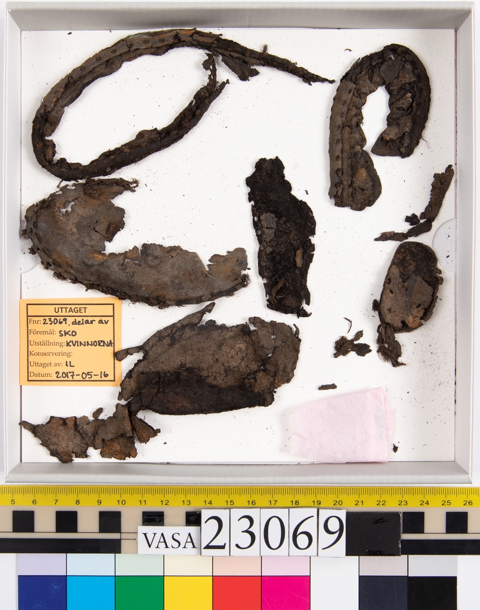 Dokumentation 1996:
Delar och fragment av sko: en skobotten samt ett fragmentariskt ovanläder, tre bitar av ett filtliknande material, ett 15-tal fragment av bottenläder samt sex mindre fragment av trä.
Skobottnen har kvarsittande tråd och träpligg. Yttersulan är ritsad. Klacken består av fem klacklappar som är placerade mellan ytter- och innersulan. Innersulans läder är mycket kraftigt, ca 6 mm tjock. Ovanlädret är sprött och fragmentariskt samt har blå och rostfärgade utfällningar.

Text in English: 
Various parts and fragments of a shoe, consisting of a sole with fragments of vamp (upper leather), three pieces of a felt-like material, some 15 fragments of sole or bottom leather and six smaller fragments of wood.
There are remains of thread and wooden pegs on the shoe sole. The outsole is channeled. The heel is made up of five heel lifts placed between the insole and outsole. The leather of the insole is very thick, ca 6 mm. The upper leather is fragile and fragmentary, and has blue and rust-coloured precipitations.

Dokumentation 2022:
Skobotten och delar av ovanläder till en öppen randsko. Tillverkade i getskinn av god kvalitet. Skapades på en rak läst och bars på höger fot. Klacken som är lagad med en läderlapp under sulan. Inga dekorationer. Det finns tecken på delaminering. Fragment från en stickad strumpa hittades inuti skon. Det finns lagningar med träpligg på sulan och hälen. Skobotten hör ihop med fyndnummer 23070.
För mer information, se Länkade filer: Uppritning

Text in english:
This is the bottom unit and upper fragments of an open shoe, made of goatskin leather of good quality, of randed construction with a patch heel, made on a straight last and worn on the right foot, with no decorative features. The bottom unit pairs with 23070. There are signs of delamination and fragments of a knitted stocking were found inside the shoe. There are pegged repairs to sole and heel.
For more information, go to Länkade filer: Uppritning