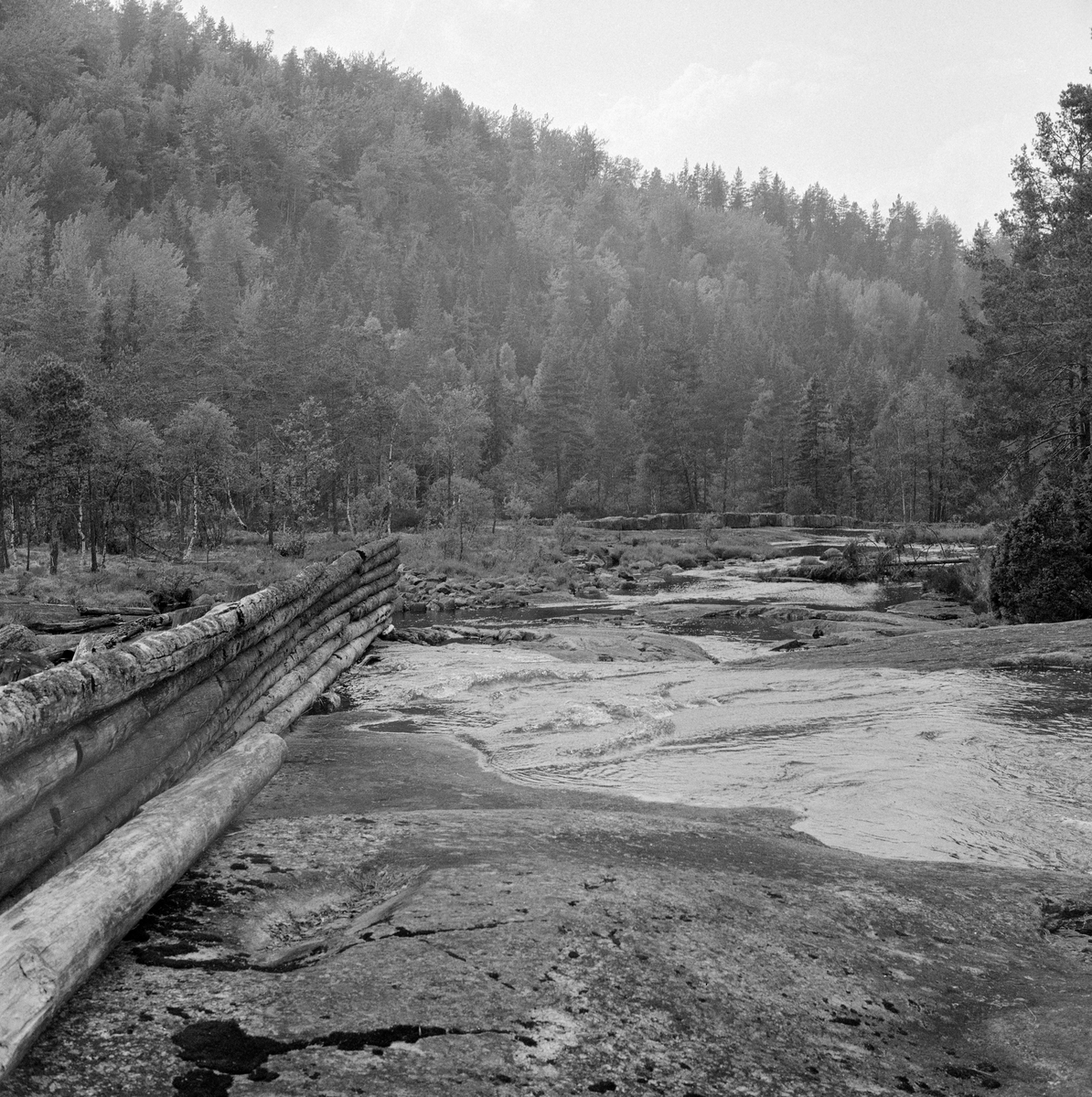 Skådam i Fiskåna i Åmli, Aust-Agder. Arendalsvassdraget.