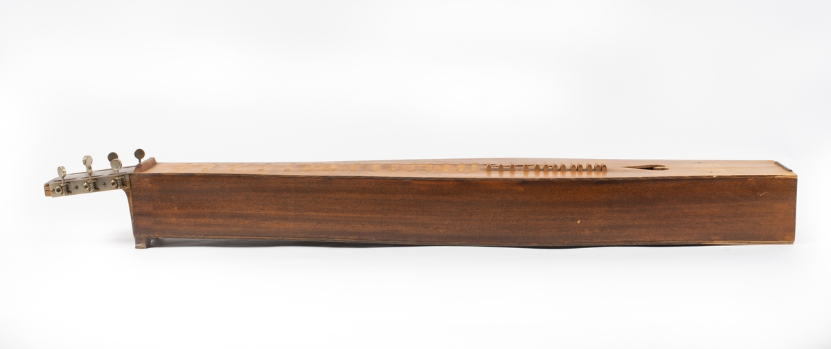 Utbuktende kropp med konvekse sidestykker. Skruekasse med rett brett i forlenging av kroppen. Seks stemmeskruer (gitar/mandolin-skruer) av metall. Tverrbjelke under lokket, synlig gjennom lydhull. Enkelt f-lydhull og et hjerteformet lydhull. 15 tverrband (mangler). 13 noter ved siden av f-lydhull. D-dur. Notesadel oppe og nede (mangler). Strenger (mangler): 1 melodi, 5 bodun. Vurdert strengefeste, ni hakk på notesadel nær stemmeskruene, fem på nedre ende. Fire metallfester på nedre endevegg. Ben oppe og nede (mangler). 
Lite eller ingen bruksmerker/slitasje etter spill.