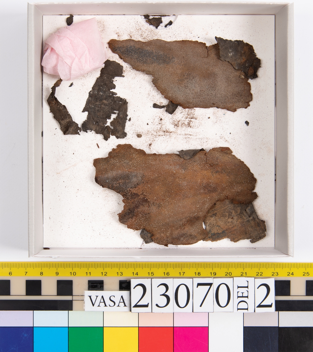 Sko.
Inuti skorna hittades även fragment från olika textilier som ursprungligen varit ett par strumpor. Idag sitter ett stickat fragment av ull fast i vänsterskon (23070) med avigsidan uppåt. I fyndet finns även en mängd lösa stickade fragment som idag är mycket korroderade och vissa helt mineraliserade av järn vilket har gjort textilen stenhård och därmed oerhört skör (23070a-c). Utifrån minskningar som några små fragment har så har det varit möjligt att rekonstruera strumpans tå. Genom att pussla ihop fragmenten som ursprungligen har suttit ihop har det på så vis gått att avgöra hur strumpans tå har varit konstruerad. Då textilen är så fragmentarisk är det inte möjligt att avgöra hur resten av strumpan har sett ut eller varit konstruerad. Däremot så finns det fragment av ett kypertvävt tyg av ull som på vissa ställen ligger dubbelt med det stickade 23070c). Ett av dessa fragment har stelnat i formen så som den suttit på fotens främre del inuti skon. Detta fragment täcker delvis det stickade tyget och har dessutom spår av kaststygn längs en kant. Så som det vävda tyget är placerat på det stickade tyget pekar på att man använt det som lagningslappar till sina stickade strumpor. 
I fyndet finns det även korroderade järnklumpar, ett tuskaftsvävt tyg av ull och rester av ett grovt bastfibergarn och två mindre läderfragment (23070d-f). Det är möjligt att även dessa har tillhört strumpan och/eller skon.

För mer detaljerad information från textildokumentationen (år 2022) se länkade filer.

Skodokumentation 2022:
Ovanläder. Tillverkad i getskinn av god kvalitet. Hör ihop med fyndnummer 23069 (Yngves skor). Tillverkades på en rak läst och bars på vänster fot. Inga dekorationer Det finns stygnhål som visar att det funnits invändiga förstärkningar (men förstärkningslappen saknas). Det finns delaminering men inga lagningar.
För mer information, se Länkade filer: Uppritning

Text in english:
This is the upper of a shoe of more “extreme fashion”, made of goatskin leather of good quality, probably made on a straight last and worn of the left foot, with no decorative features. The upper couples with 23069, together composing Yngve’s shoes. There are internal reinforcements missing from the upper and delamination, there are no repairs.
For more information, go to Länkade filer: Uppritning