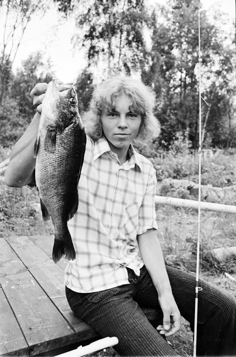 Jätteabborre på spinn, Rosslarna, Söderfors, Uppland, juli 1972