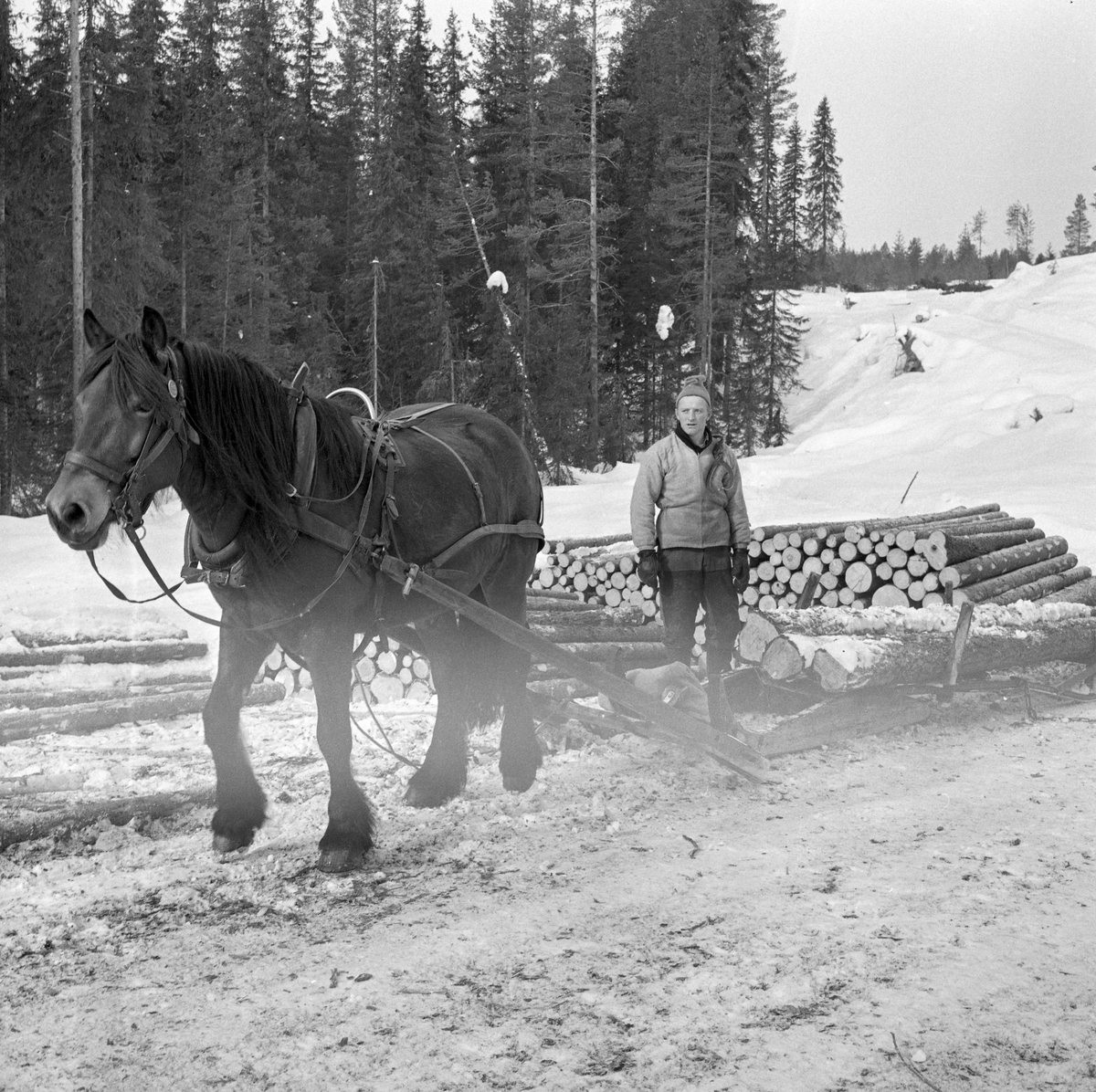 Tømmerkjøring med rede hos Per O. Løberg og sønn. Kjøringen foregikk i nærheten av Nybergsund, Trysil, Hedmark.