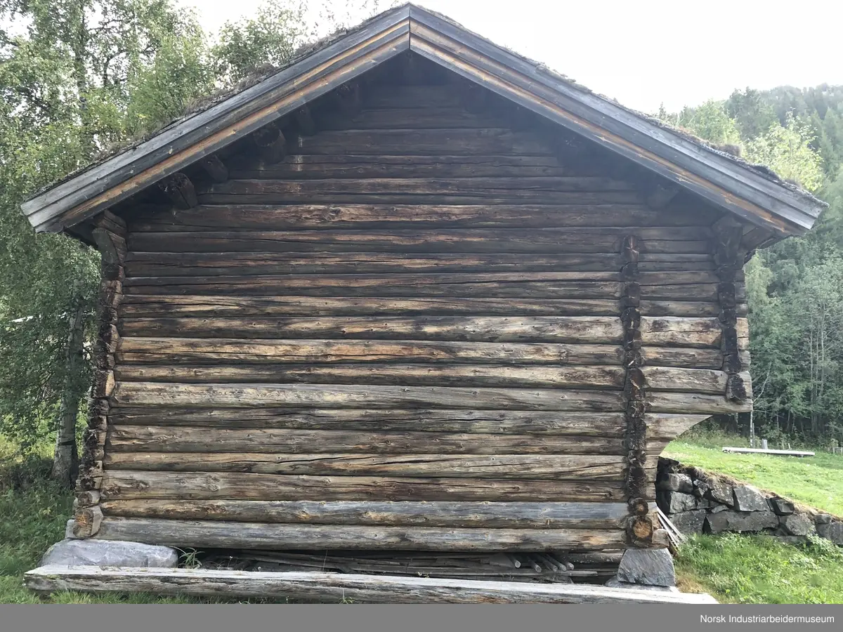 Reisjålåven