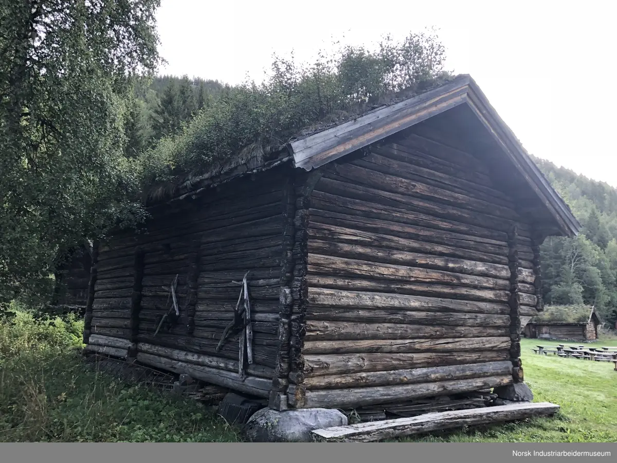 Reisjålåven