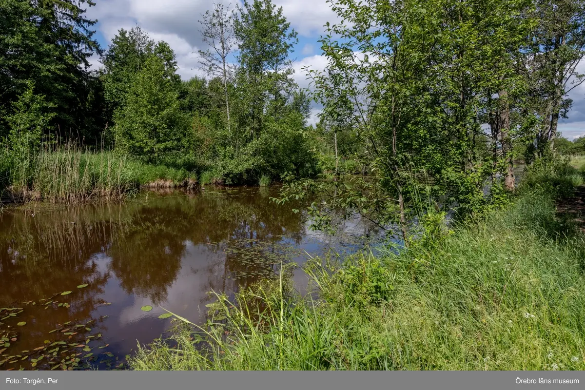 Äverstaån mynning vid Gäddeby.