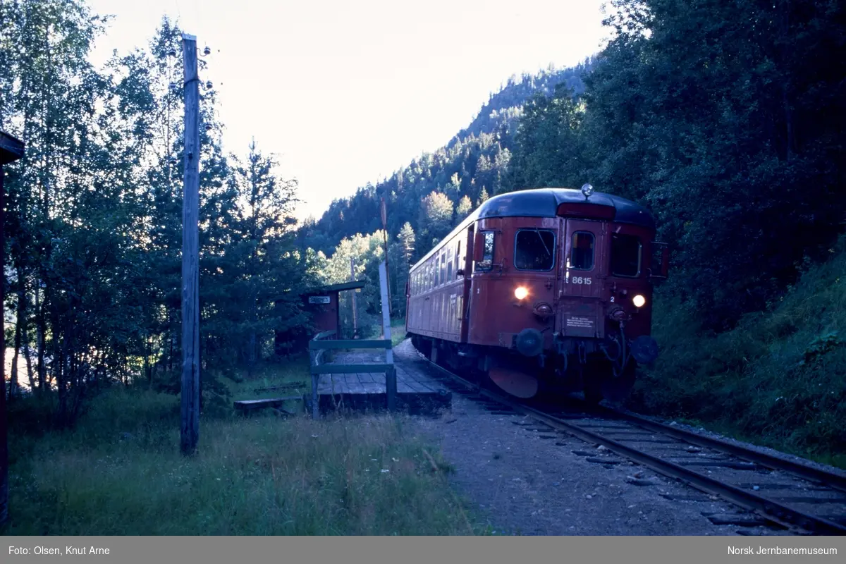 Dieselmotorvogn BM 86 15 med persontog fra Kongsberg til Rødberg på Sandnes (Søndre Sandnes) holdeplass mellom Norefjord og Rødberg på Numedalsbanen