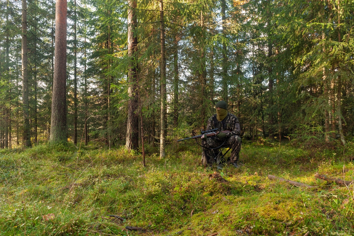 Jeger på post under høstjakta. Posten er plassert nær der man tror viltet kommer, gjerne nær dyrestier eller kjente trekkruter for viltet. Posten er plasseert i tett skog med fri sikt mot åpent terreng. Jegeren bruker en lydløs smygdress av merket Swedish Chasseur Predator Ursus som er utviklet av Rasmus Boström og Jonas Lännbjer. Det finnes også kamuflasjedrakter fra andre produsenter på markedet. Når det er mildt om høsten er det vanlig å sitte uten ansiktsmaske. Jegeren er utstyrt med børse. Han har med seg en jaktradio og Garmin GPS. Jeger: Jan Ove Fuglebrenden fra Løten. Bildet er arrangert. 