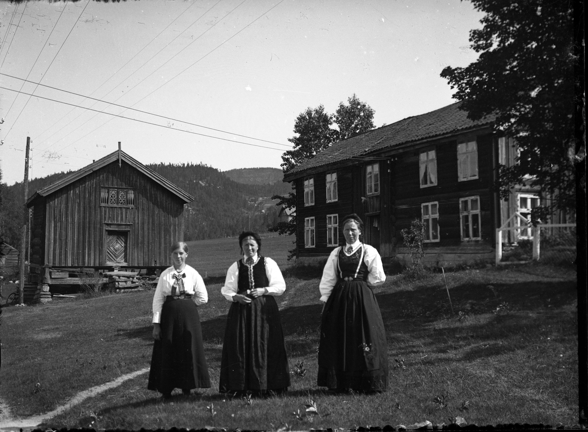 Fotosamling etter Bendik Ketilson Taraldlien (1863-1951) Fyresdal. Gårdbruker, fotograf og skogbruksmann. Fotosamlingen etter fotograf Taraldlien dokumenterer områdene Fyresdal og omegn. 
Portrett av tre kvinner i tunet på Lisslestog.