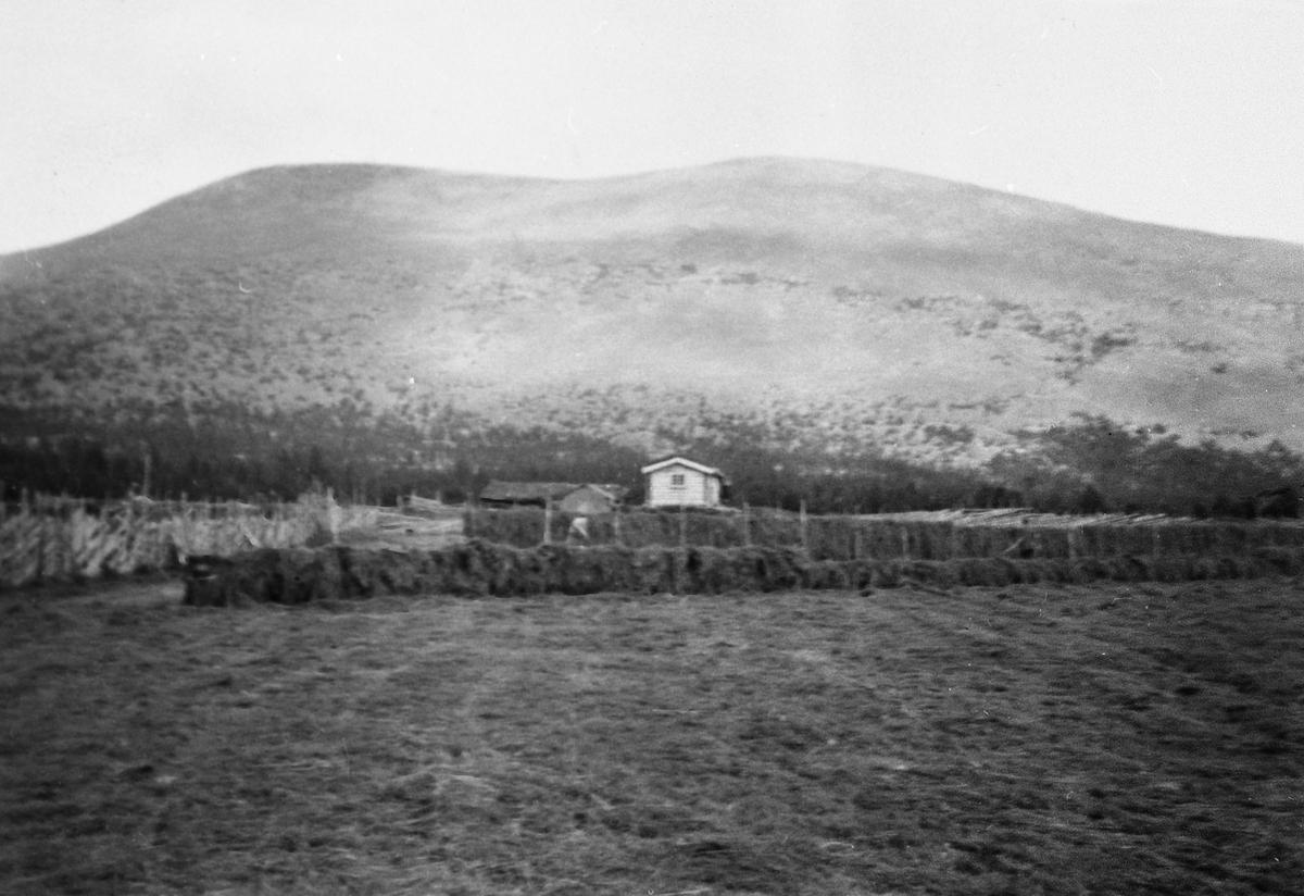 Misterdalen seter