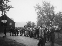 Anno Norsk skogmuseum