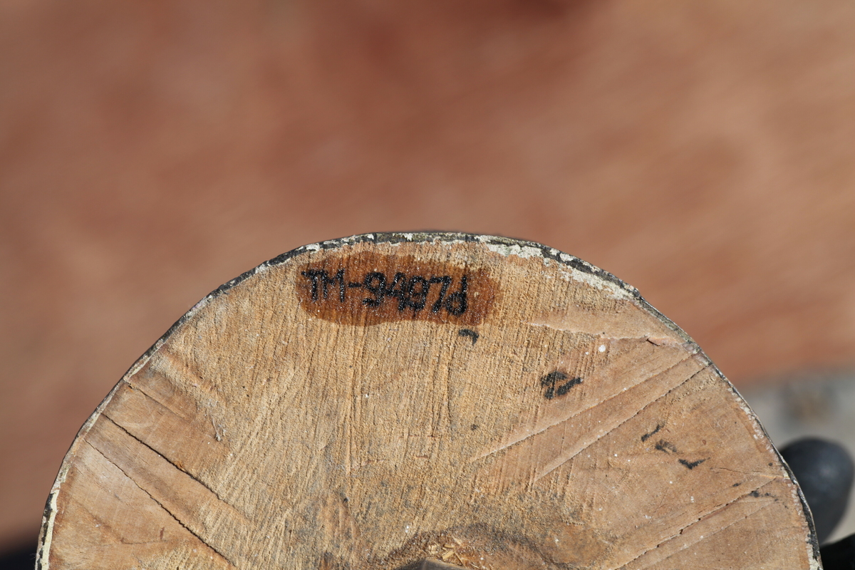 Prekestol (a), fot (b) og (c og d) et dekorelement formet som en flamme, fra Aas kirke, Bøverbru. Sekskantet prekestol med en innebygget plate for å plassere bibelen langs framsiden. Hver side har speil som er blåmalt i marmoreringsteknikk, mens resten av hver vegg er malt rosa med prikker i dekorasjonsmaling som imiterer en annen steintype. Påskrift nede på prekestolen: "Uttatt 1915 fra Aas Bøverbru". Antatt tatt ut fra Aas kirke i forbindelse med brannen i 1915.