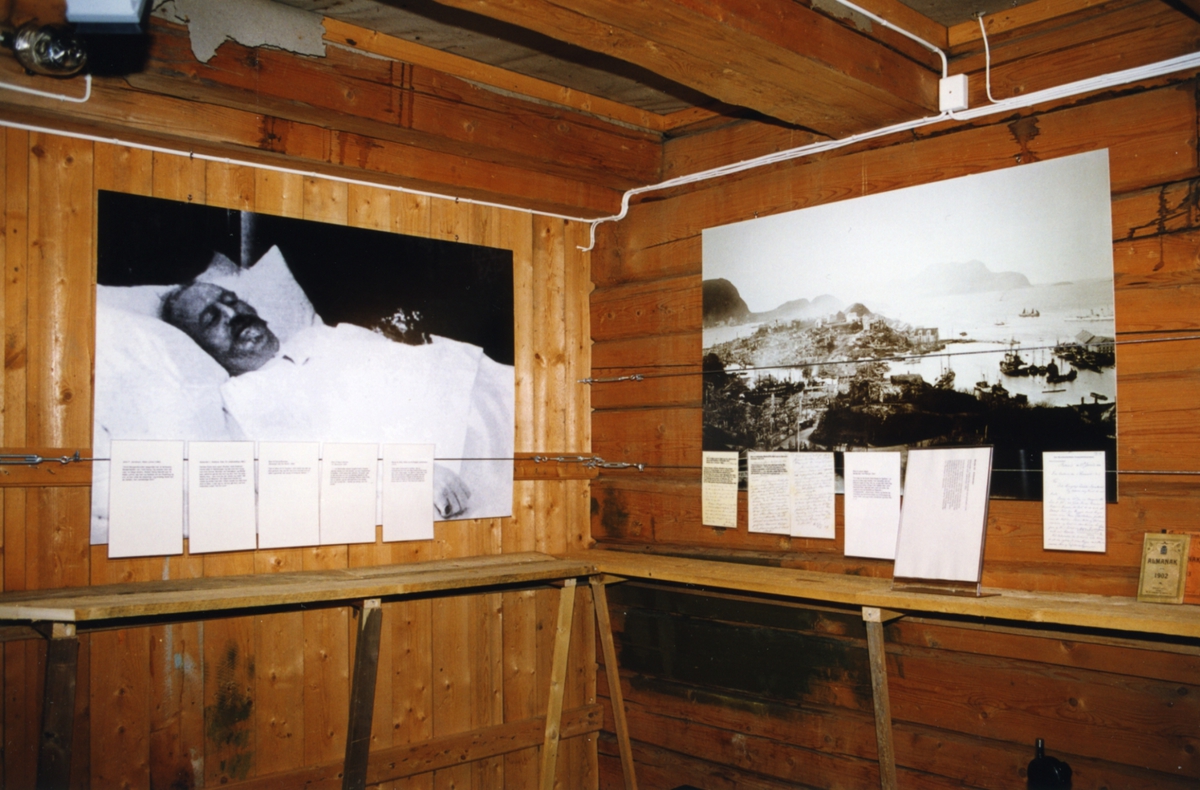 DOK:1999, Alexander L. Kielland 150 år, sommerutstilling,