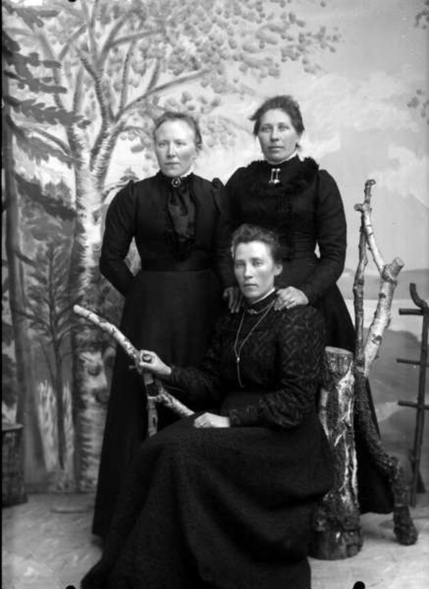 Pro: Marit Halden's gruppe. 08.04.1900. Gruppebilde, kvinner.