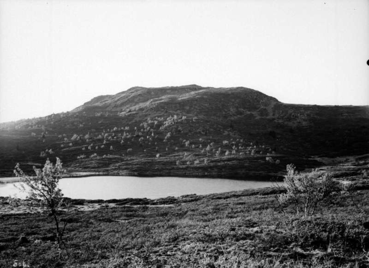 Ringebu. Trabelia. Trabelifjell.