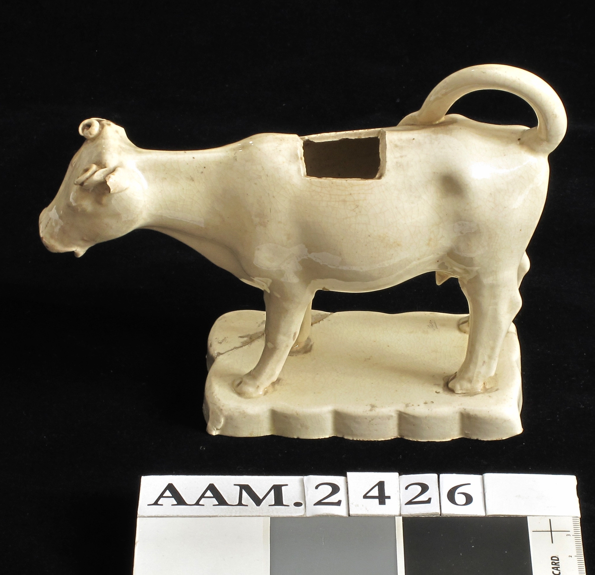 Stående ku med halen i bue