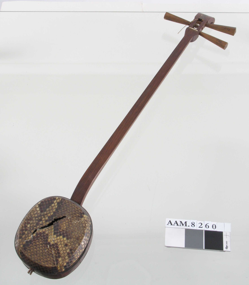Tre,  Krokodilleskinn. Selve kassen forholdsvis liten sammenlignet med skaftet. Kassens bunn  og lokk av krokodilleskinn.   Strengeinstrument.  
