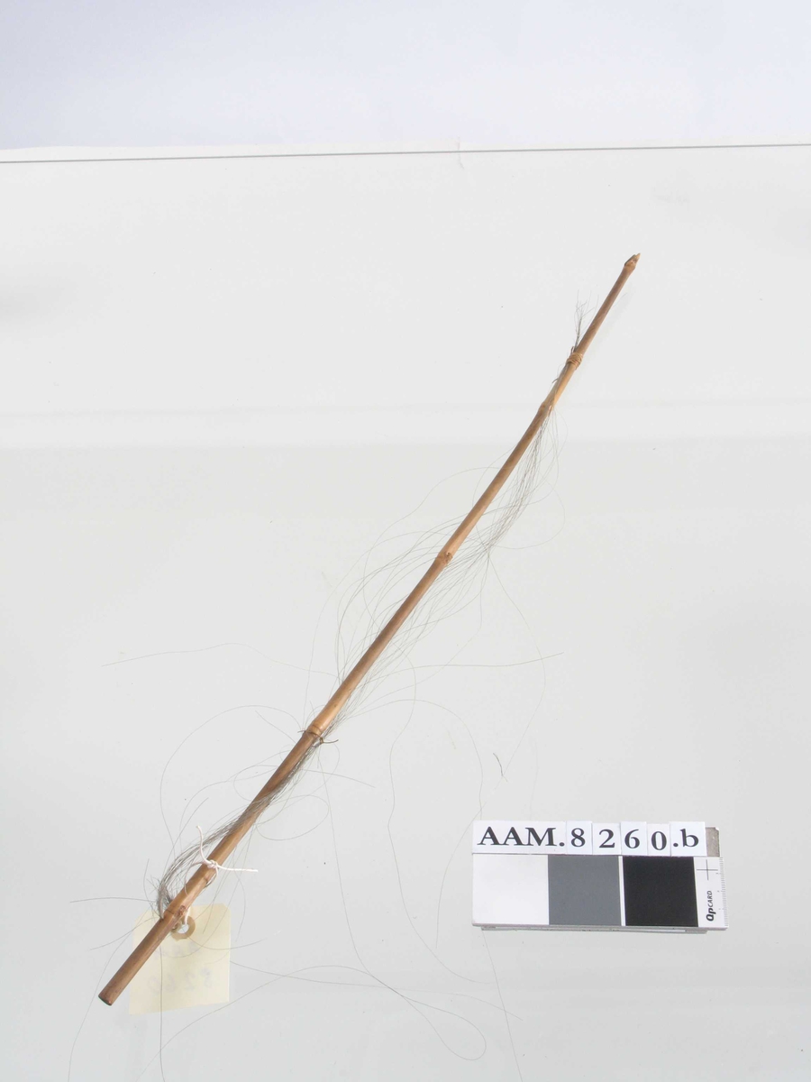 Tre,  Krokodilleskinn. Selve kassen forholdsvis liten sammenlignet med skaftet. Kassens bunn  og lokk av krokodilleskinn.   Strengeinstrument.  