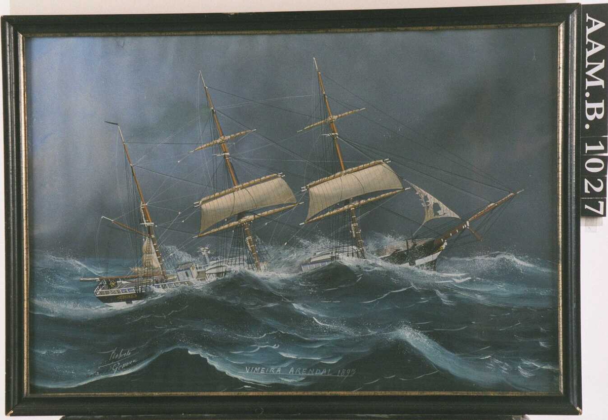 Skuta sett fra styrbord side på skummende blåsort hav,  dypt i vannet.
Roberto, Luigo:  Barken "Vimeira" av Arendal,  bygget 1851 i Sunderland,   eiere Nicolay Olsen m. fl.,kaptein  F. 0lsen.(Nevnes ikke i Veritas etter 1892). 
Gouche og tusj på papir. sort profilert  med smal gull list innerst.   
 Gråblå himmel.  Tilstand: papiret litt bulket, ellers bra. 



 Tekst under:   Vimeira Arendal 1893.  

Skuta sett fra styrbord side på skummende blåsort hav,  dypt i vannet. Gråblå himmel.  Tilstand: papiret litt bulket, ellers bra. 

Prov. Barken skal ifølge giver være ført av kaptein  Christensen, Merdø. 

Skipet var i overhendig uvær og ble  hjemme ansett som totalforlist og alle omkommet. 

 Reddet av forbipasserende skip.