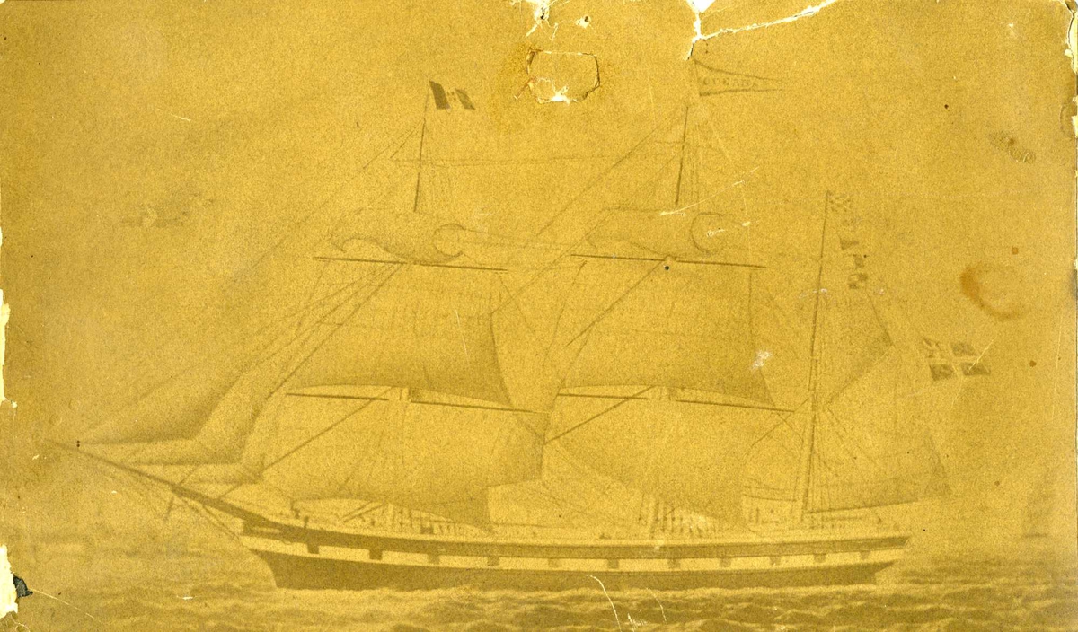 Fartøybilder fra Agder. 

Navn:  Oceana
Kjennetegn: HVLP
Type: Klipperskip, omrigget til bark på 1850-tallet
Bygget på Svinodden i Arendal, av skipsmester Morten Kiddelsen.
Kilde: Kallevig s. 49ff
          Hvite seil b5 s53
          Ingemann 1850
          1858x
          Møller 1862
          F75
Skuteregistersignatur: 1850IO130 og 336

Bilde 1:
Arkivref: Fartøybilder 56
Tekst: Oceana, bark, efter maleri med påskrift: "Oceana af Arendal, ført af Captn O. A. Olsen". Original tilh. J. T. G. Aalholm, forært Aust-Agder Museeet, Arendal. Efter oljemaleri på lerret, sign av M. T. Renault, Livorno 1864. Fra Arendal Sjømannsforening 14. januar 1959.

Bilde 3:
Tekst: Kapt. Ole Anton Olsen, Arendal. Reder: Christian Stephansen, Arendal. Maleri av F. Tudgay, Liverpool 1860. Bakgrunn: Klippene ved Dover. Tilhørende O. A. Aalholm, gave desember 1960 fra Arendals Forsikringsselskab A/S, Arendal. Foto Væring 1955. AAA Neg. nr. 633

Bilde 2
Arkivref: Fartøybilder 56;  AAA Neg. nr. 360
Tekst: Oceana Captn. S. E. Svendsen, Arendal 1876.  