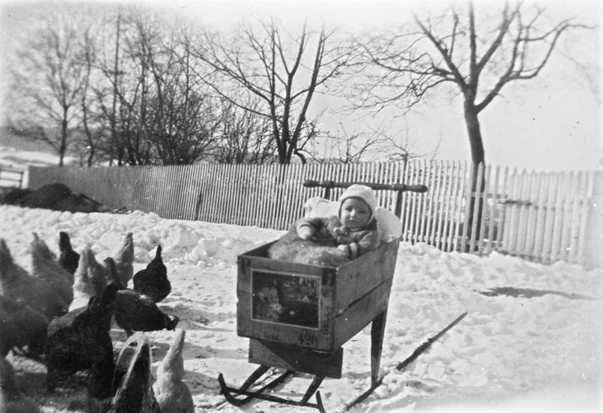 Joffen (Kristoffer Kvaal, f. 13.05.1929) i kasse på spark. Skjelver i Åkrene.
