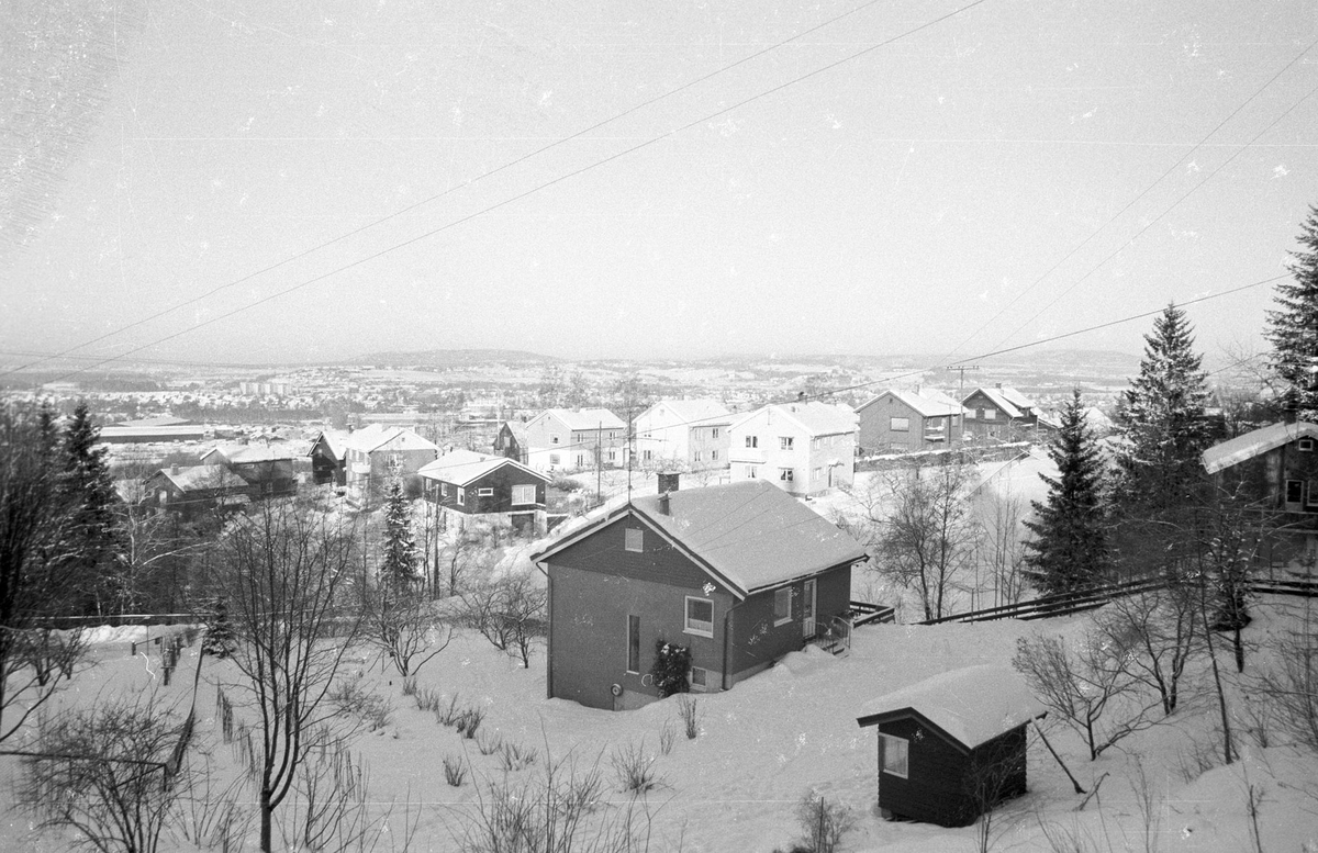 Rudområdet Småhus, oversikt, vinter