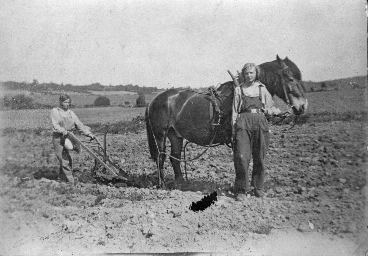 Potethypping på Vea Hagebruksskole 1926.