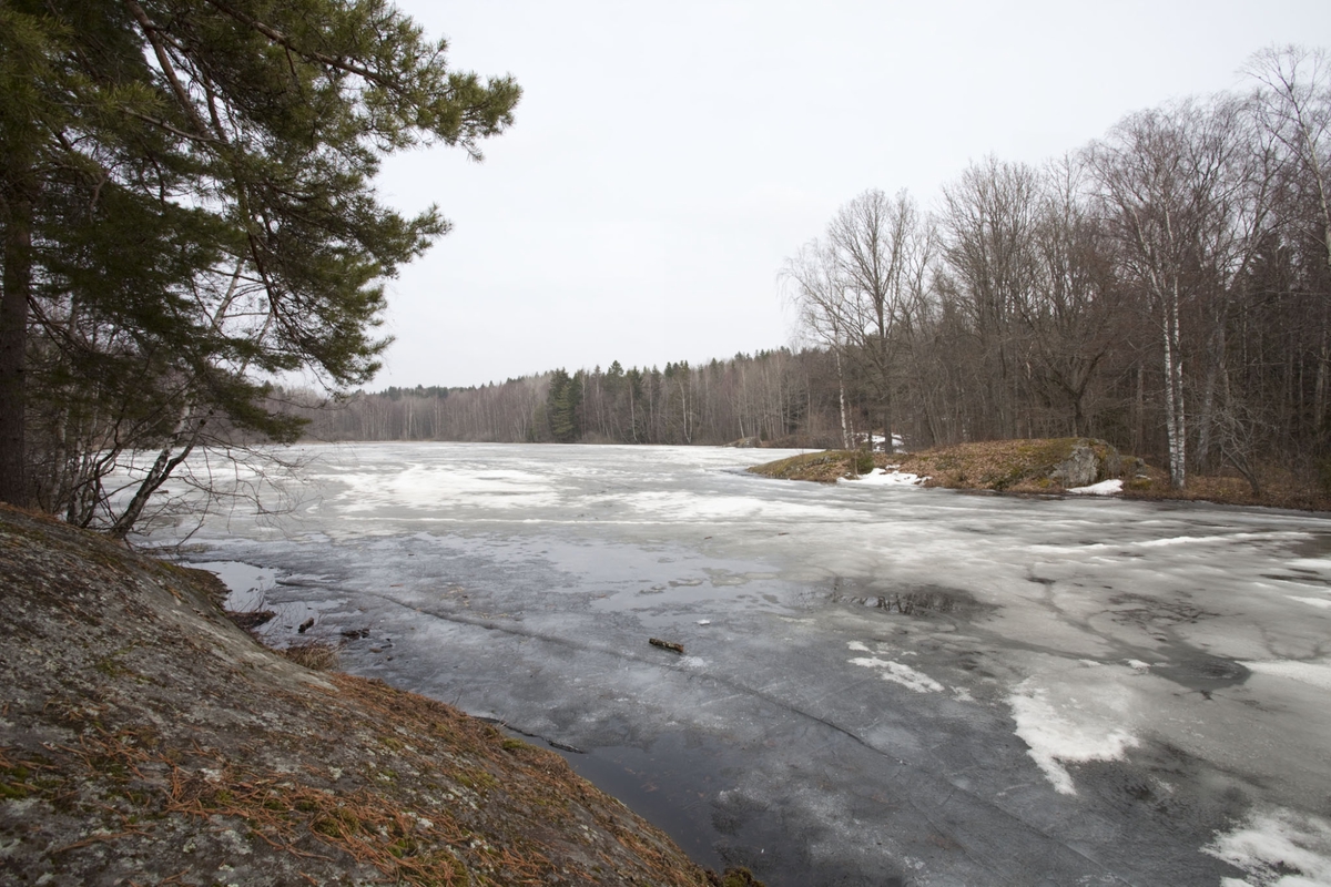 KOLÅSTJERN