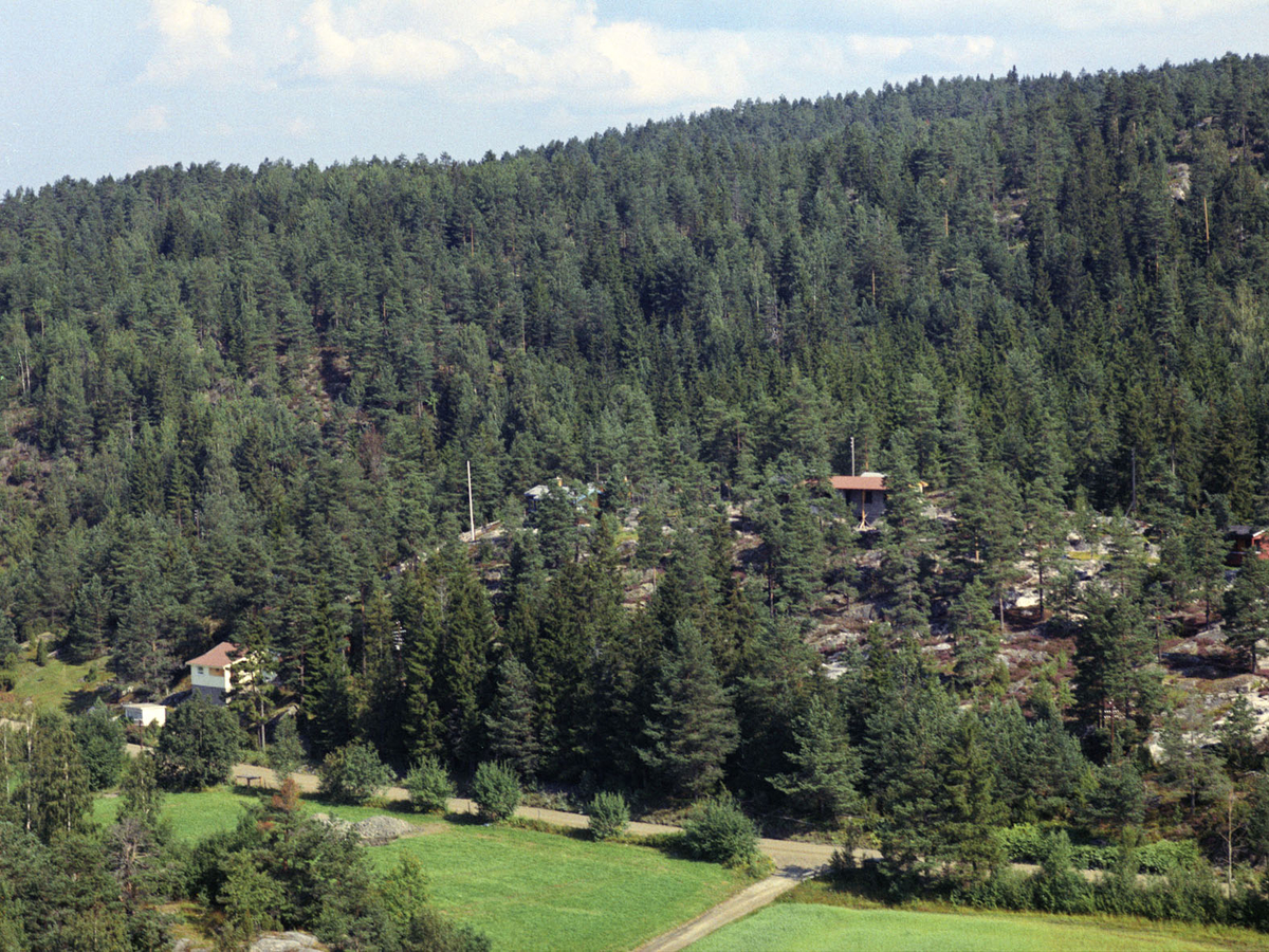ENEBAKKNESET LANDSKAP