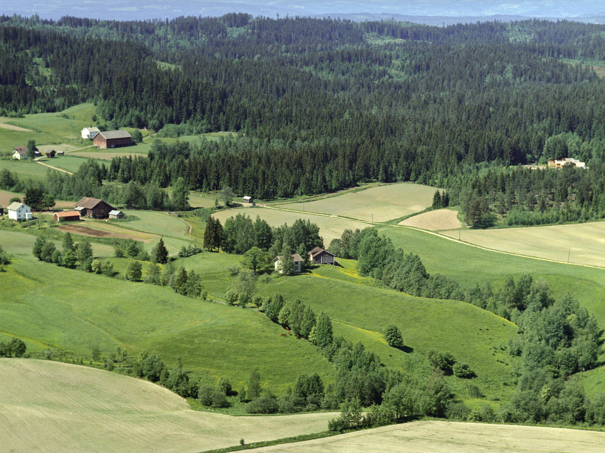 LIBORG GÅRD