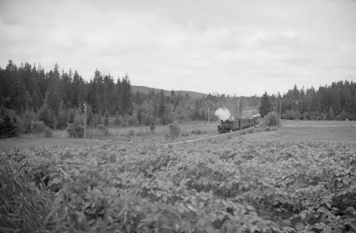 Tog retning Skulerud nord for Skulerud stasjon.