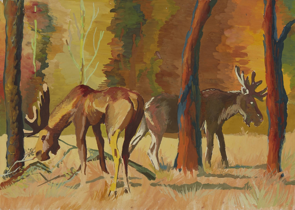 Elks